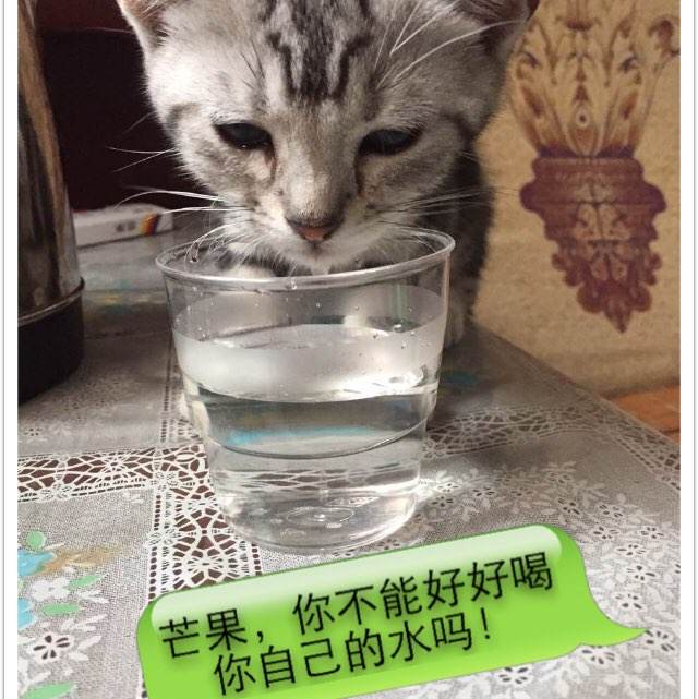 购买假瑞金大学文凭毕业证